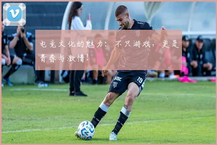 电竞文化的魅力：不只游戏，更是青春与激情！