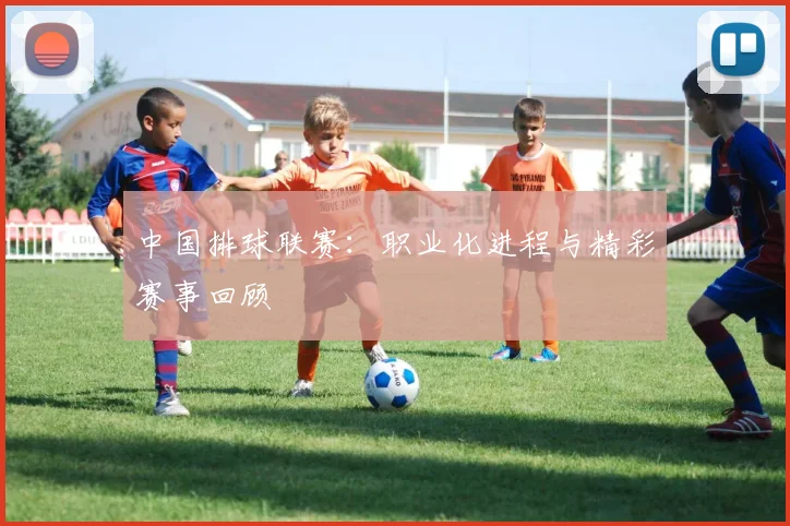 中国排球联赛：职业化进程与精彩赛事回顾