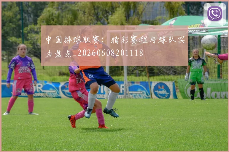 中国排球联赛：精彩赛程与球队实力盘点_20260608201118